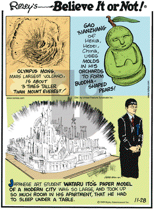 Ripley's Believe It or Not on Saturday November 28, 2009 Comic Strip