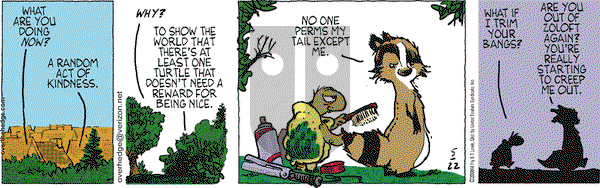Over the Hedge on Thursday May 22, 2008 Comic Strip