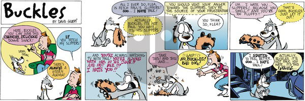 Buckles - Sunday August 8, 2021 Comic Strip