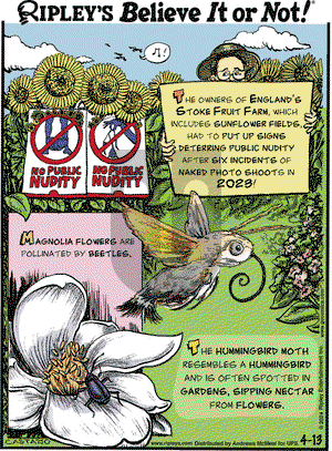 Ripley's Believe It or Not - Saturday April 13, 2024 Comic Strip