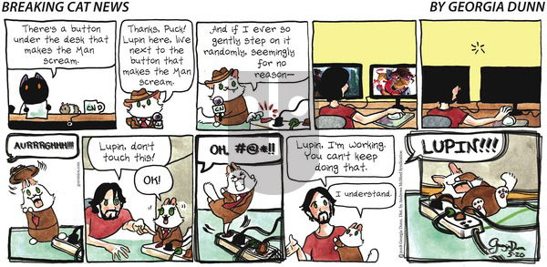 Breaking Cat News on Sunday May 20, 2018 Comic Strip