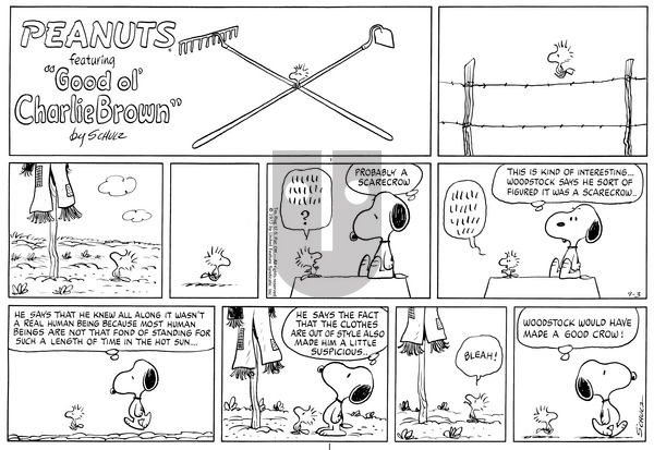 Peanuts on Sunday September 3, 1972 Comic Strip