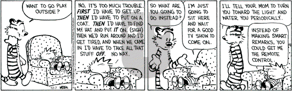 Calvin and Hobbes - Saturday December 7, 2019 Comic Strip