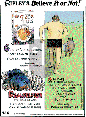 Ripley's Believe It or Not on Friday May 16, 2025 Comic Strip