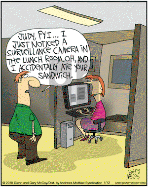 The Flying McCoys on Friday January 12, 2018 Comic Strip