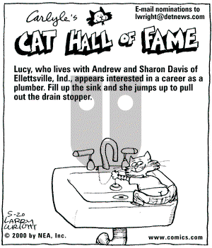 Kit 'N' Carlyle on Saturday May 20, 2000 Comic Strip