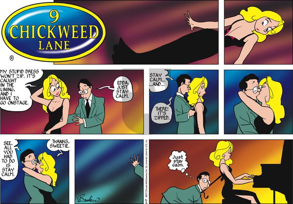 9 Chickweed Lane on Sunday November 17, 2013 Comic Strip