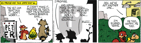 Over the Hedge on Saturday January 29, 2011 Comic Strip