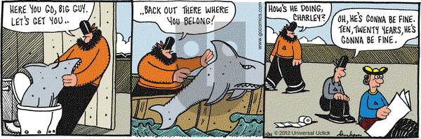 Overboard on Saturday January 21, 2012 Comic Strip