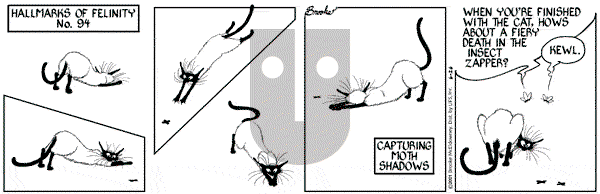 9 Chickweed Lane on Tuesday June 26, 2001 Comic Strip