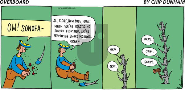 Overboard on Sunday June 1, 2008 Comic Strip