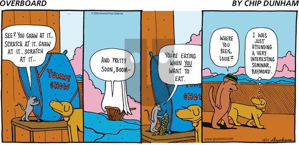 Overboard on Sunday December 17, 2006 Comic Strip