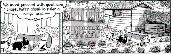 Fred Basset on Wednesday August 24, 2005 Comic Strip