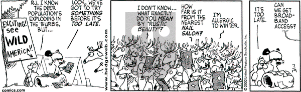Over the Hedge on Wednesday July 19, 2000 Comic Strip