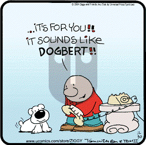 Ziggy on Friday November 30, 2001 Comic Strip