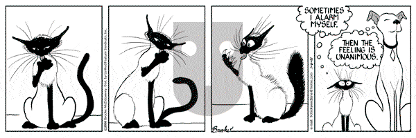 9 Chickweed Lane - Saturday January 6, 2001 Comic Strip