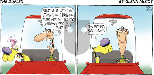 The Duplex on Sunday July 7, 2013 Comic Strip