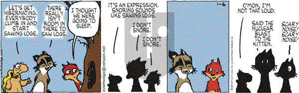 Over the Hedge on Thursday January 6, 2011 Comic Strip