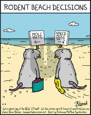 Loose Parts on Friday June 6, 2025 Comic Strip