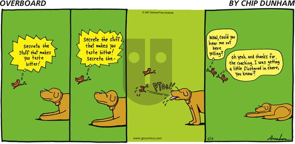 Overboard on Thursday June 7, 2007 Comic Strip