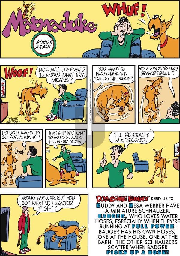Marmaduke on Sunday February 7, 2021 Comic Strip