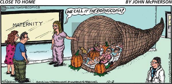 Close to Home on Sunday December 2, 2018 Comic Strip