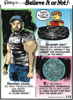 Ripley's Believe It or Not on Thursday January 10, 2013 Comic Strip