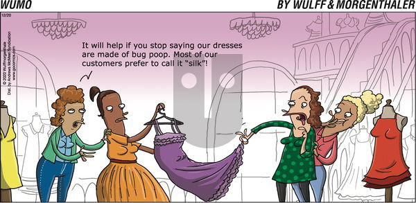 WuMo on Sunday December 20, 2020 Comic Strip