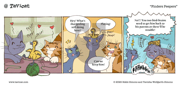 @Tavicat on Thursday May 15, 2025 Comic Strip