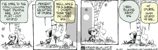 Non Sequitur - Monday October 20, 2008 Comic Strip