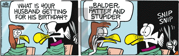 Mother Goose and Grimm on Saturday May 17, 2025 Comic Strip