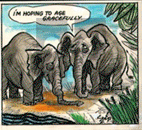 Today's Szep on Wednesday March 8, 2023 Comic Strip
