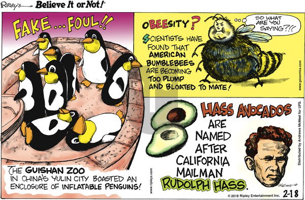 Ripley's Believe It or Not on Sunday February 18, 2018 Comic Strip