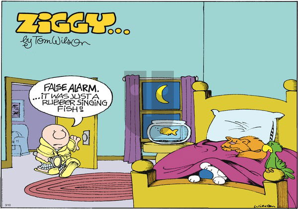 Ziggy - Sunday March 10, 2013 Comic Strip