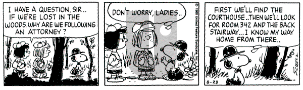 Peanuts on Tuesday August 23, 1988 Comic Strip