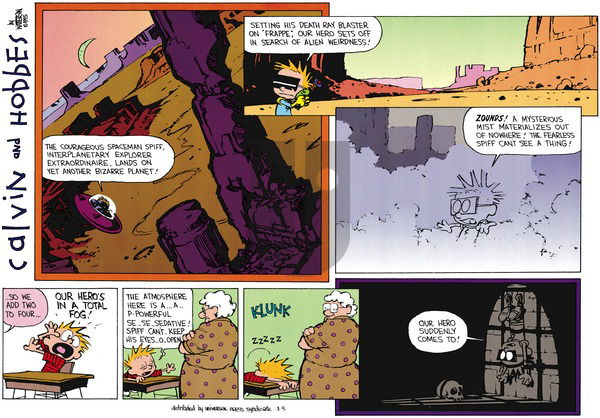 Calvin and Hobbes on Sunday March 5, 1995 Comic Strip