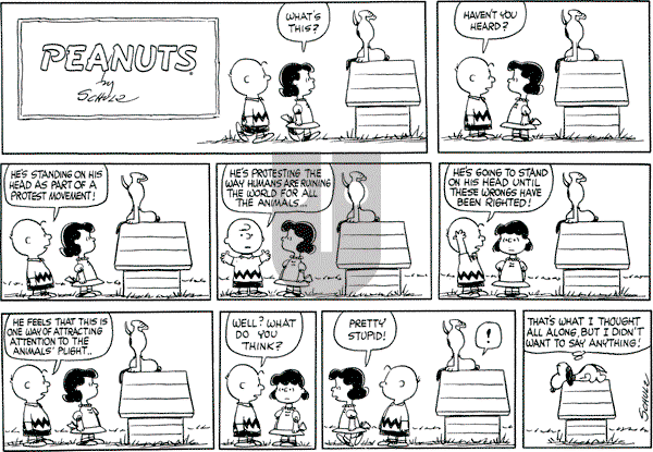 Peanuts - Sunday April 15, 1962 Comic Strip