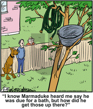 Marmaduke on Saturday June 19, 2021 Comic Strip