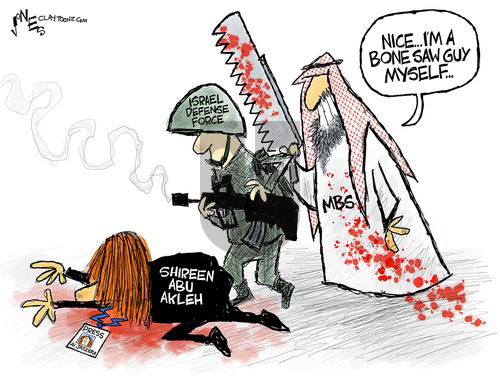 Clay Jones - Sunday May 15, 2022 Comic Strip