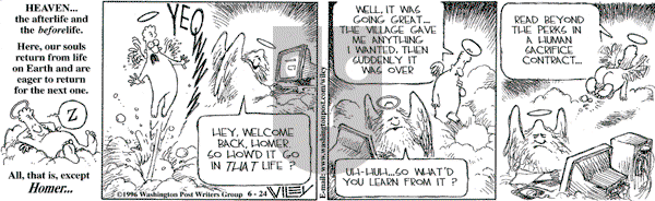 Non Sequitur on Monday June 24, 1996 Comic Strip