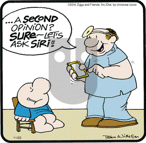 Ziggy on Wednesday November 23, 2016 Comic Strip