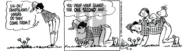 Rose is Rose on Monday May 31, 1993 Comic Strip