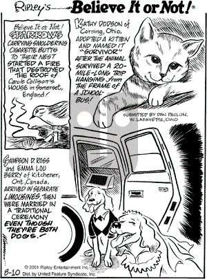 Ripley's Believe It or Not on Friday August 10, 2001 Comic Strip