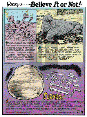 Ripley's Believe It or Not on Monday July 19, 2021 Comic Strip