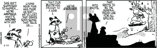 Over the Hedge on Wednesday February 23, 2005 Comic Strip