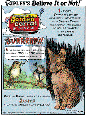 Ripley's Believe It or Not - Thursday July 25, 2024 Comic Strip