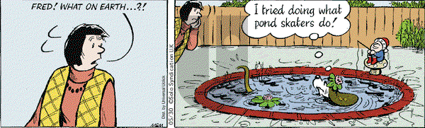 Fred Basset on Saturday May 30, 2015 Comic Strip