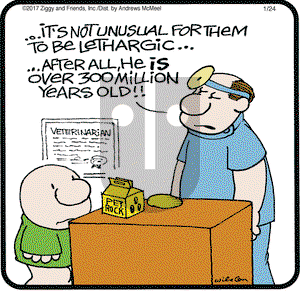 Ziggy on Tuesday January 24, 2017 Comic Strip