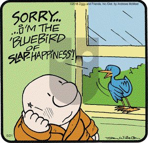 Ziggy on Monday May 21, 2018 Comic Strip