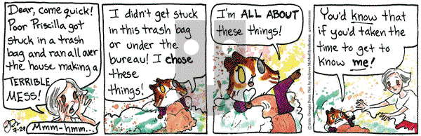 Breaking Cat News - Monday July 29, 2024 Comic Strip